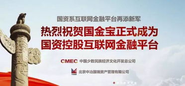 揭秘北京分期乐提现风控，如何保障你的资金安全？