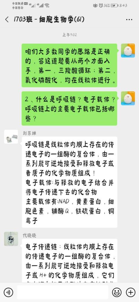 揭秘羊小咩便荔卡套出来是什么百度，一场网络迷雾的探索之旅