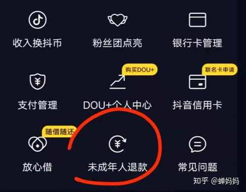 抖音月付提现放款额度不足？一文带你了解原因及解决方案