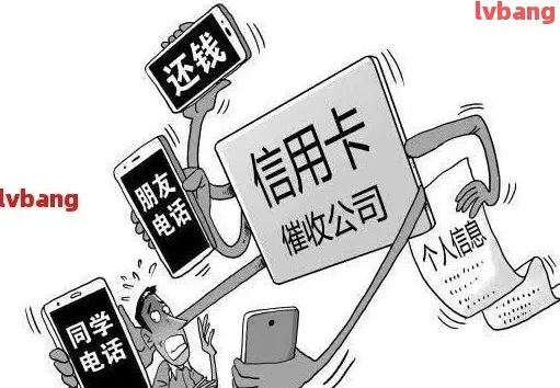 全国最大黑客诚信追款揭秘，真实案例、深度解析与问答揭秘