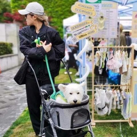 宠物户外用品品牌，为爱宠打造安全舒适的户外天地