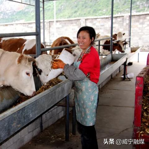 阳光致富，一种积极向上的生活态度与行动实践