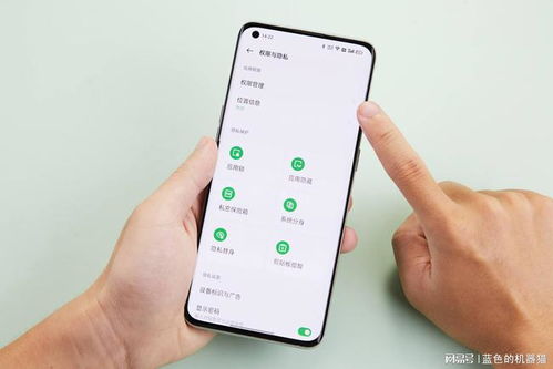 揭秘手机短信聊天记录监控与删除，隐私保护还是技术滥用？