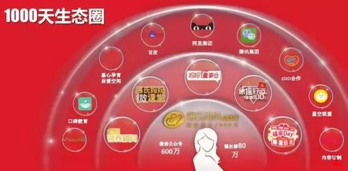 母婴品牌创新玩法大揭秘