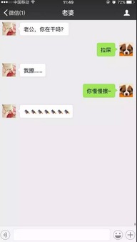 揭秘微信聊天记录的秘密，如何合法查别人手机微信聊天记录？