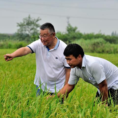 现在什么可以致富？跟着我一探究竟！