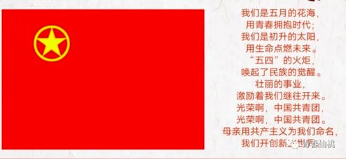 仙桃微店放心花套，深度解析与实用指南