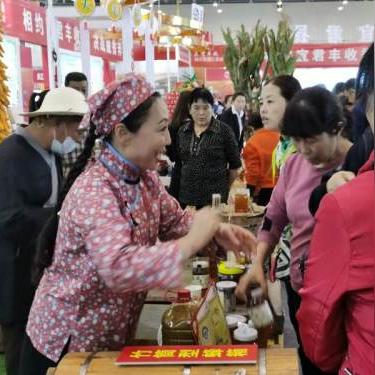 农村开什么厂子致富，策略、案例与前景分析