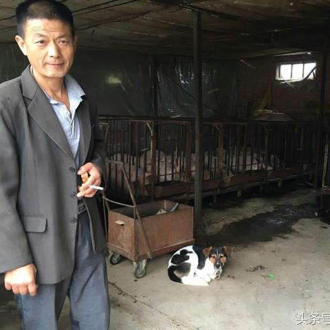 农村开什么厂子致富，策略、案例与前景分析