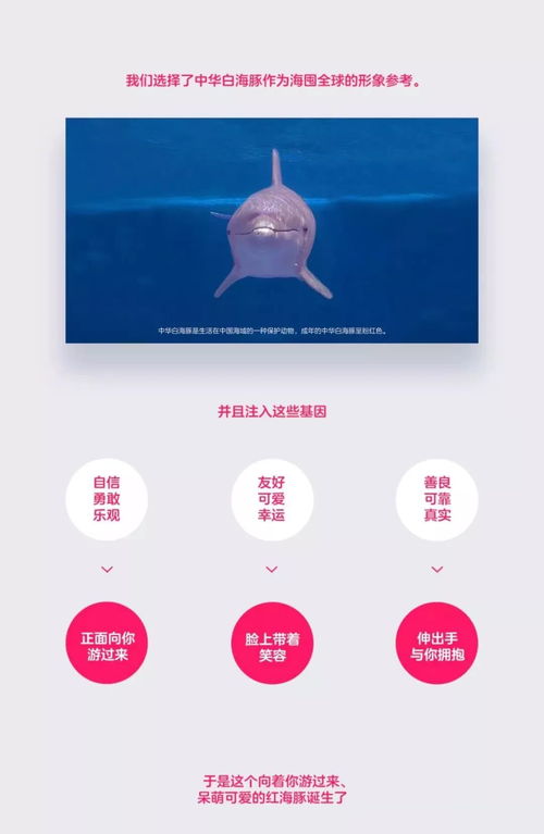 到小商店能京东白条提现吗？全面解读你的疑问与困惑
