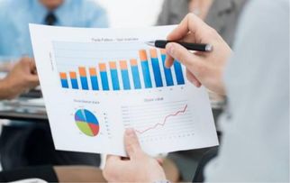 微店放心花额度套出来商家—深度解析与实用指南