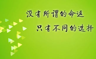 有什么好的致富方式？让我给你细细道来