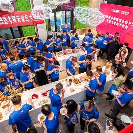 河南餐饮品牌费用解析