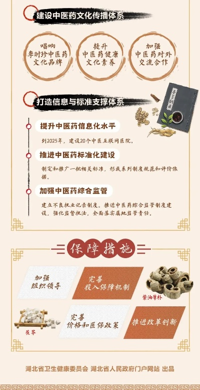 中医药品牌引领—传承与创新的典范