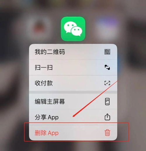 轻松掌握聊天记录查询与删除技巧，保护你的隐私安全！