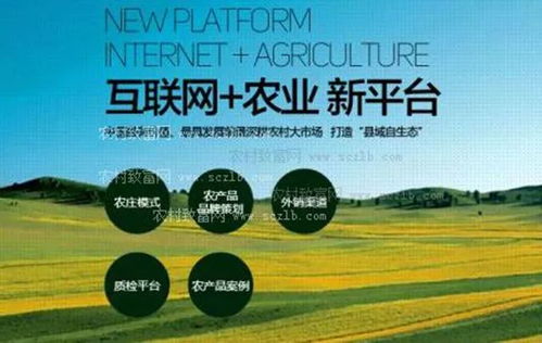 乡下农村做什么创业好赚钱？且看这些热门项目与成功案例
