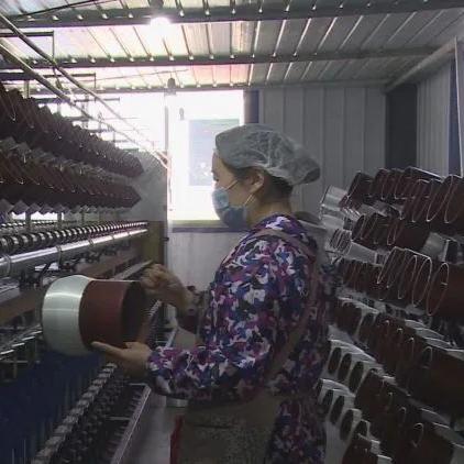 测试你靠什么致富，探索成功之路与财富之源