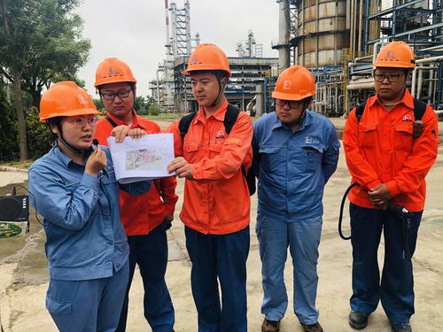 青岛四厂啤酒加盟指南，一步步带你走上成功之路