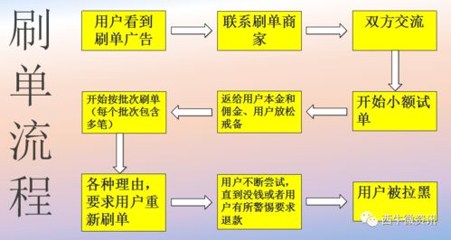 羊小咩便荔卡使用指南，如何顺利套出？详解流程与案例
