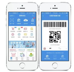 二维码白条取现，便捷支付新体验