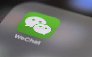 微信聊天记录查看器，揭秘隐私保护与信息安全的双重挑战