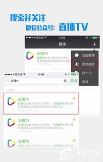 揭秘个人微信分付免费提现额度，轻松掌握提现技巧！