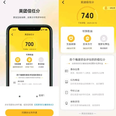 美团月付额度只有100怎么提现—实用指南与案例解析