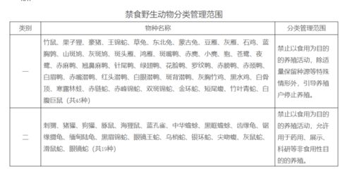 农民种植养殖什么致富快？全面解析与实例探究