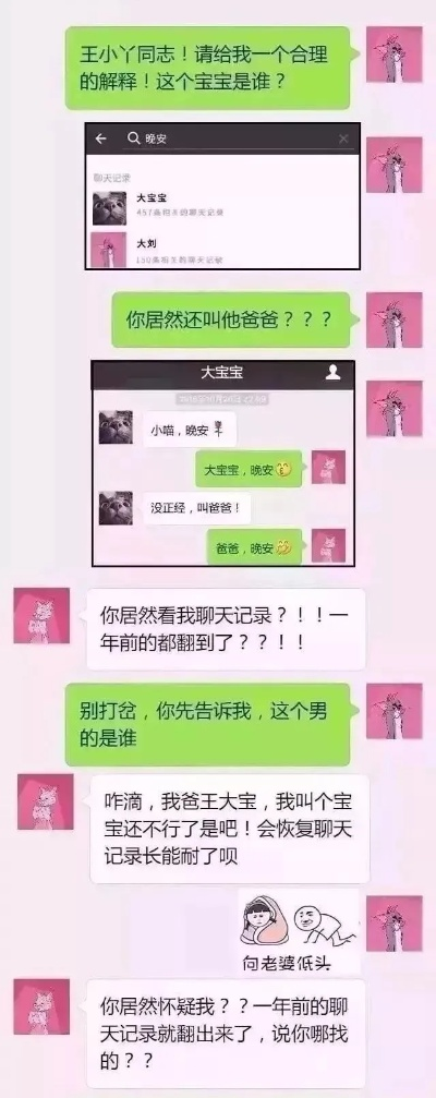 如何找回删除的聊天记录，实用指南与案例分析