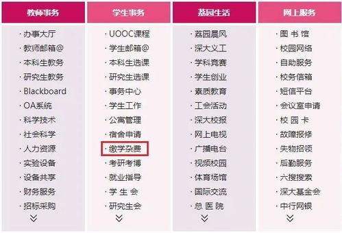 羊小咩便荔卡套出来，回款时间揭秘及案例分析
