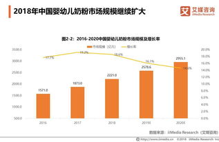 母婴品牌MXX的市场策略与消费者洞察