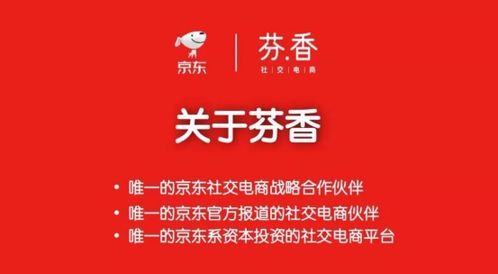 在家就能致富！探索热门居家致富项目