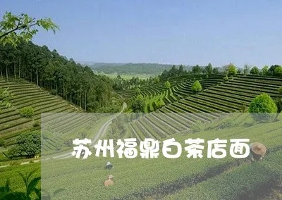 苏州白茶加盟店铺全攻略，从入门到精通