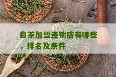 苏州白茶加盟店铺全攻略，从入门到精通