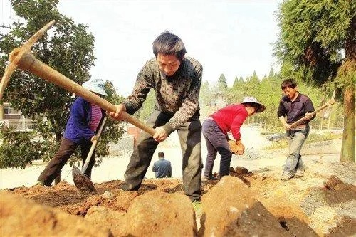 农村里的苦力赚钱之路，探寻新的机遇与挑战