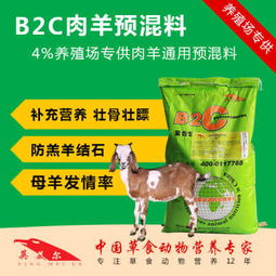 揭秘羊小咩便荔卡套，商家真相大曝光！