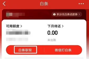 轻松收款，快速提现—个人商家京东白条收款提现攻略
