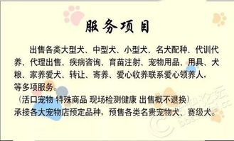 志强如何做生意赚钱，深度解析与案例探究