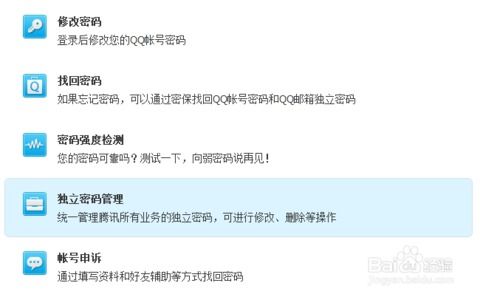 忘记密码后如何查看聊天记录，实用指南与案例分享