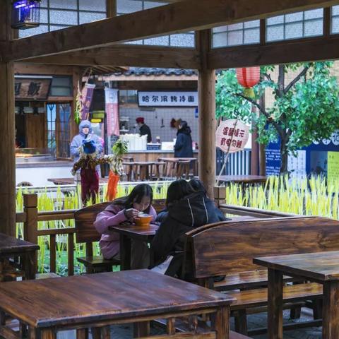 合肥家居灯笼品牌精选