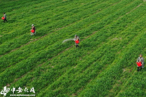 春耕致富，播种希望，收获财富
