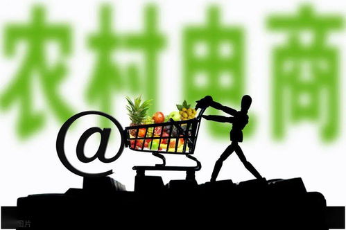 做什么食品批发赚钱快？看我一一揭秘行业商机！