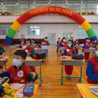 旭东精品水果加盟指南，一步步带你走上创业成功之路