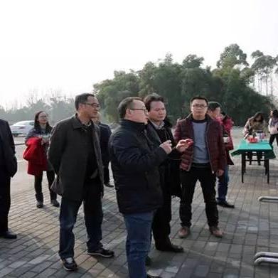 旭东精品水果加盟指南，一步步带你走上创业成功之路