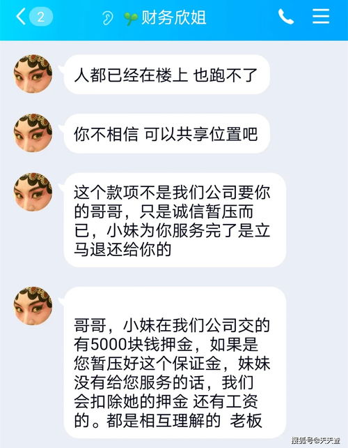 揭秘聊天记录查询，方法、风险与注意事项