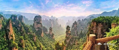 打造母婴品牌，爱与责任的融合之旅