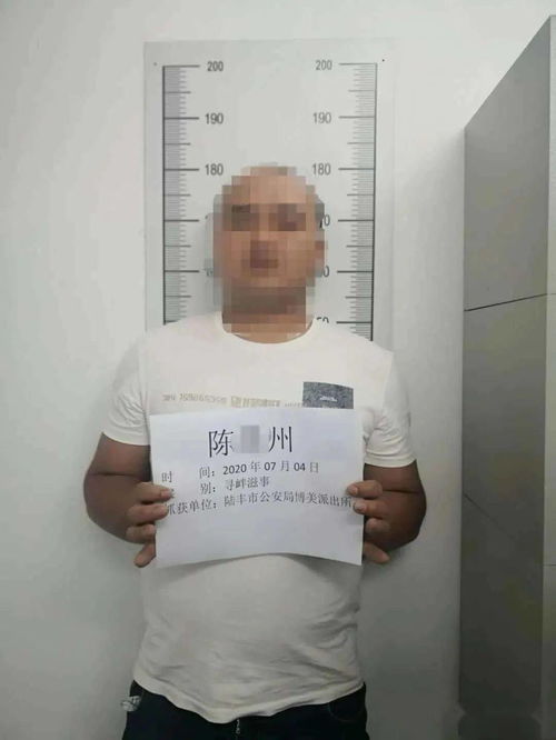 揭秘抖音月付提现那些事儿，二维码手续费详解及案例分析