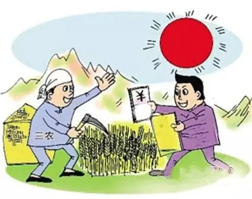 农民致富首选哪些政策，政策解读与案例分析