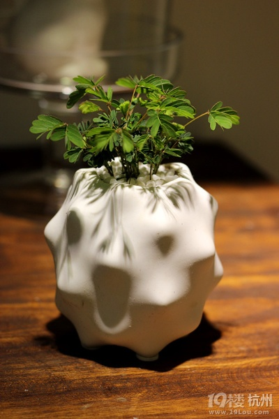 打造个性化家居盆景—探索品牌与案例
