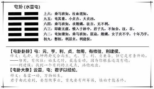 刚创业时，名字中的那些关键字，背后的故事与启示